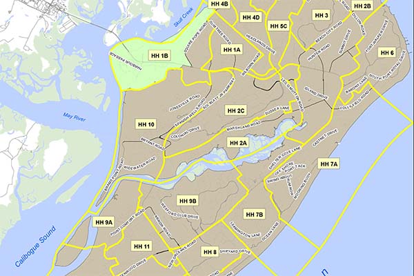 Mapa de los distritos del congreso de Carolina del Sur y de los distritos municipales