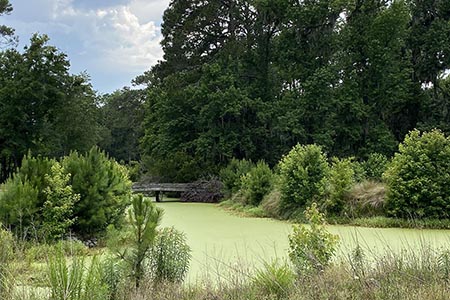 View of the Mid-Island Tract