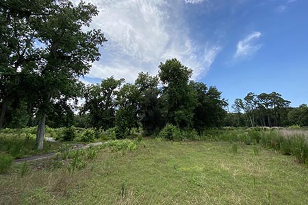 View of the Mid-Island Tract