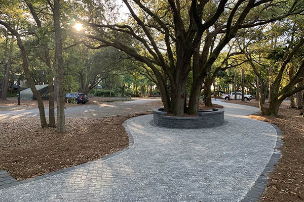 Pathway around tree at park