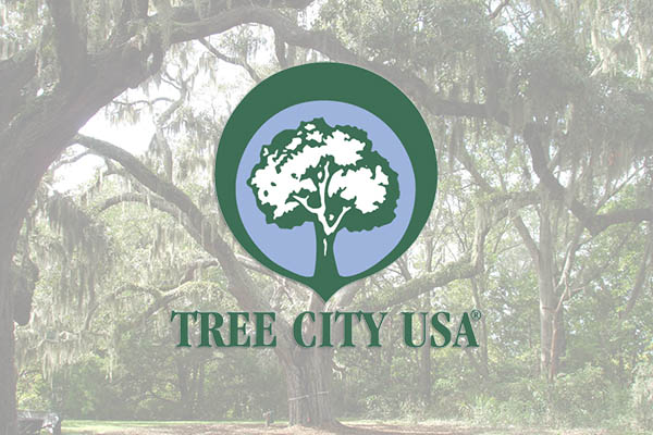 Tree City USA