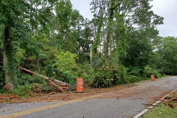 Tropical Storm Elsa Clean-up