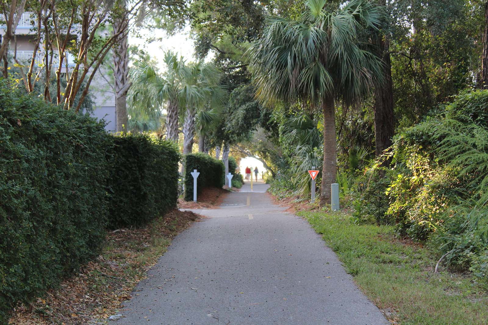 Path to Beach Access