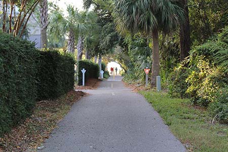 Path to Beach Access