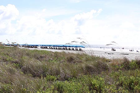 Beach Access View