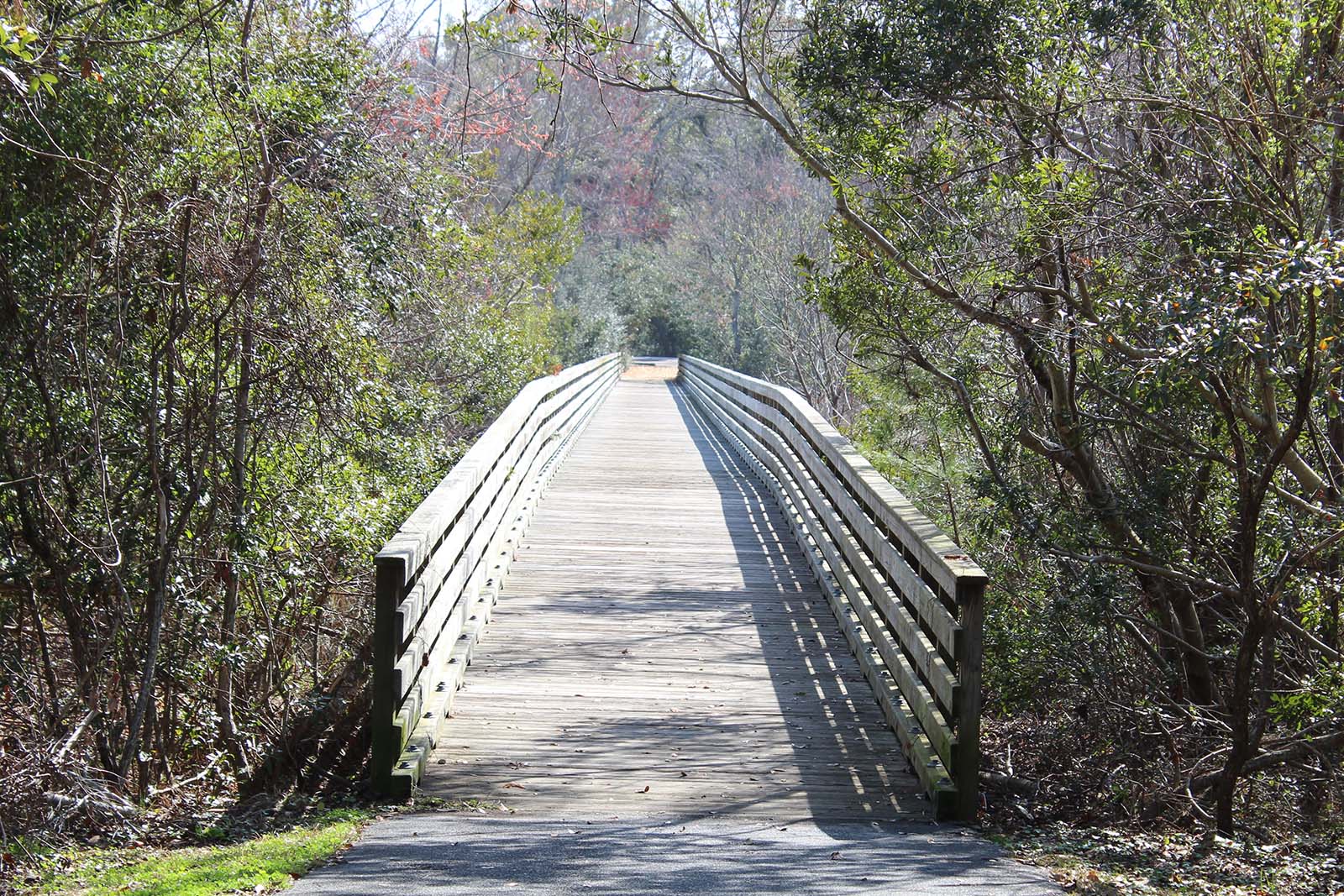 Boardwalk to Fish Haul Beach Park