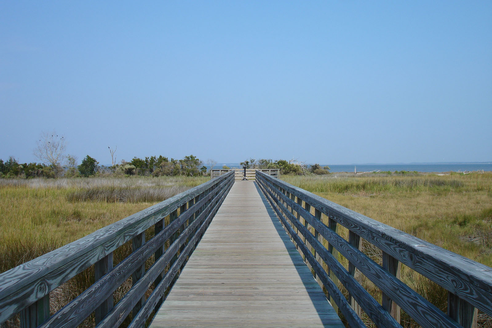 Observation Deck and Boardwalk