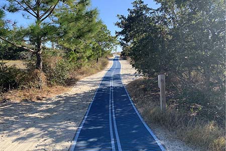 Beach Access Path