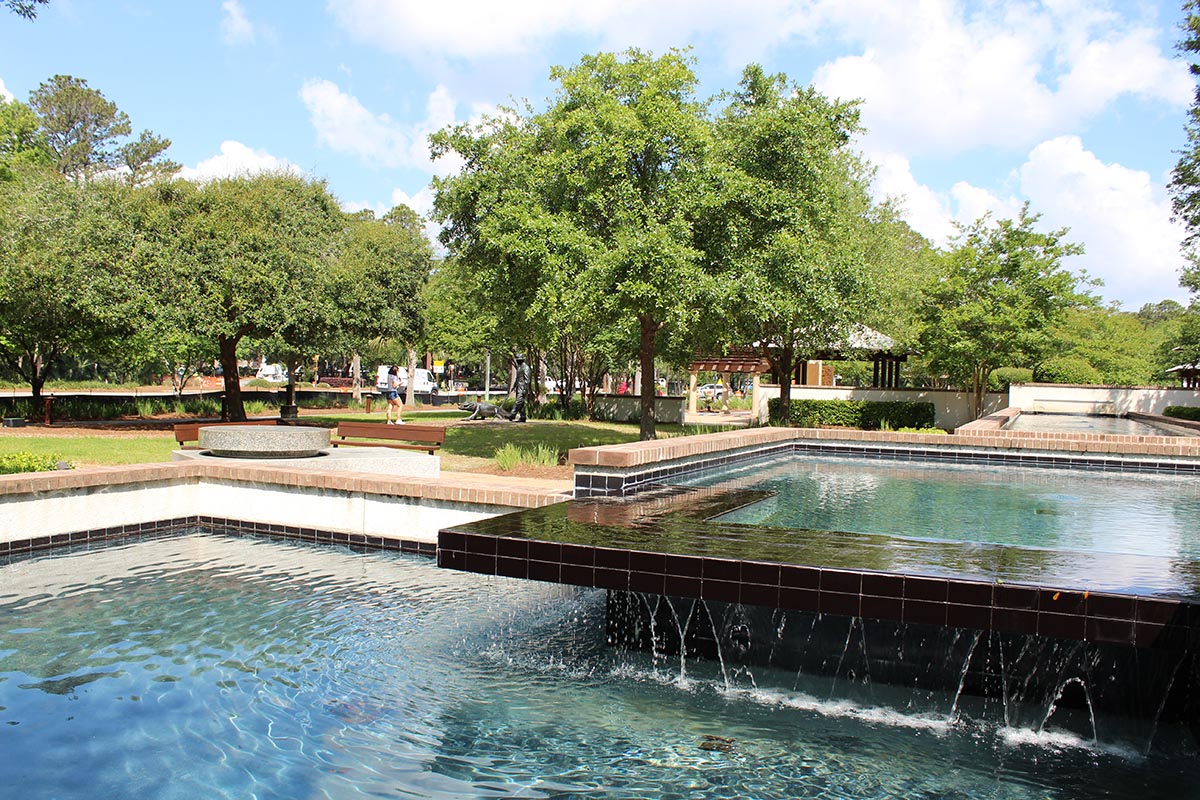 Water Feature