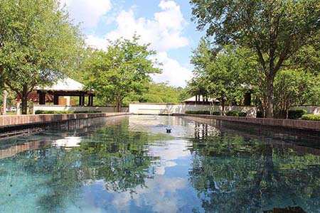 Reflection Pool