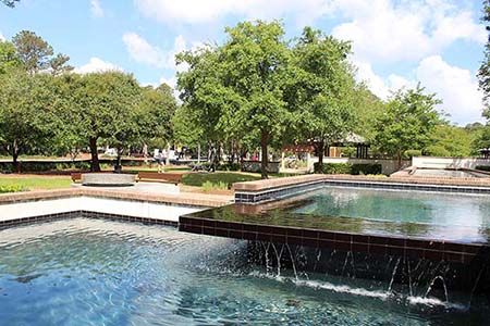 Water Feature