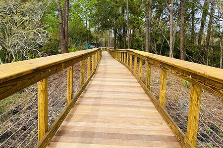 Driessen Beach Boardwalk