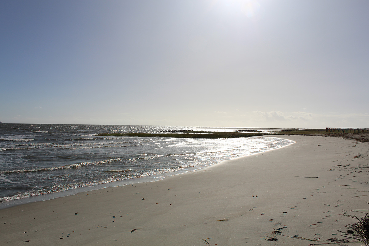 Fish Haul Beach