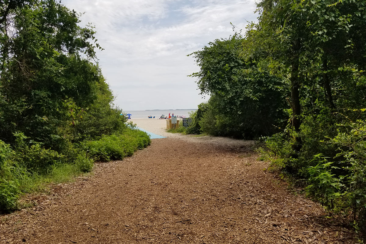 Beach Access Path