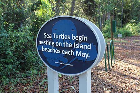 Sea Turtle Nesting Sign