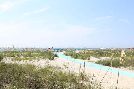 Path to Folly Field Beach