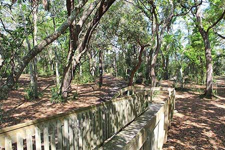 Trail to Observation Deck