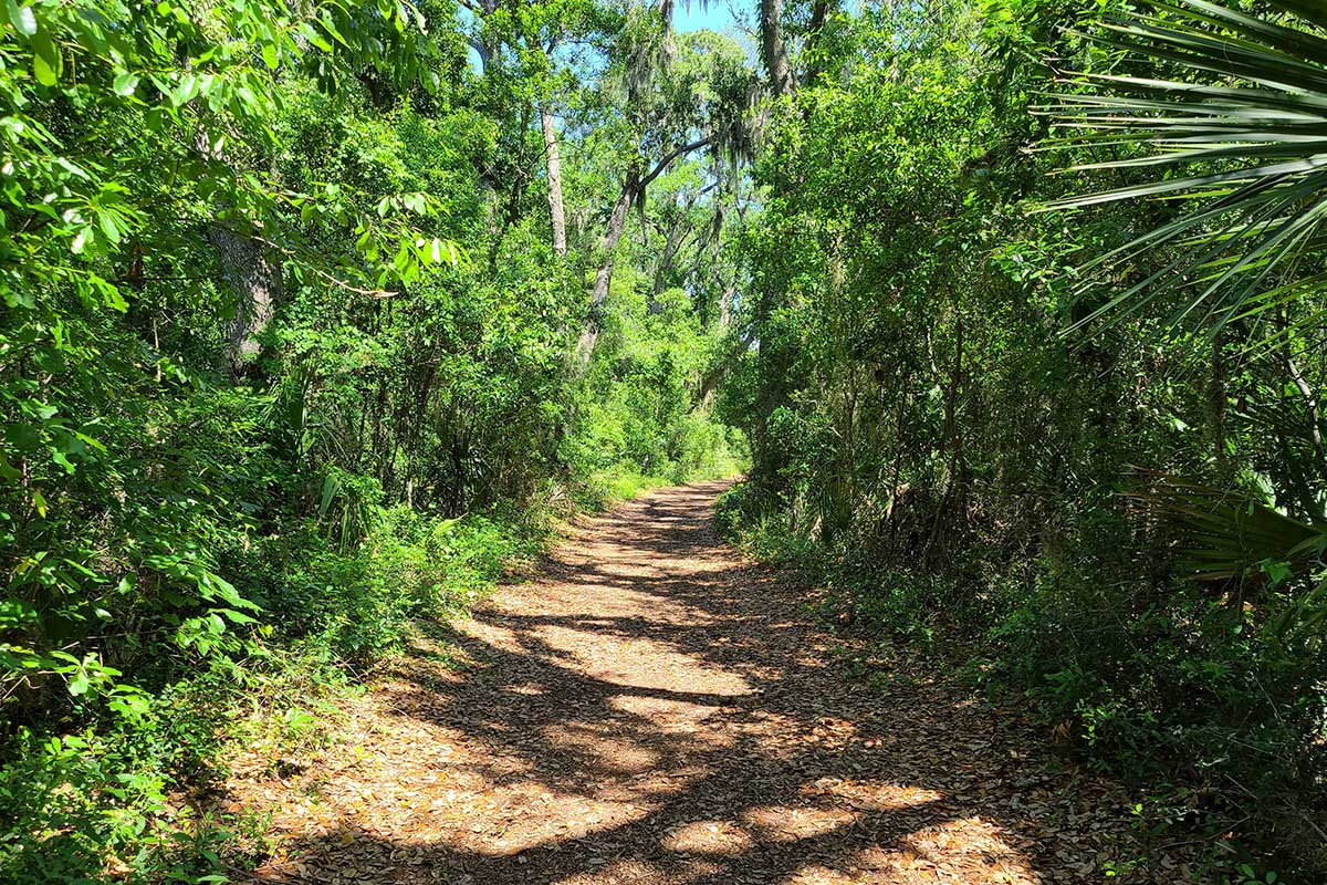 Walking Trails