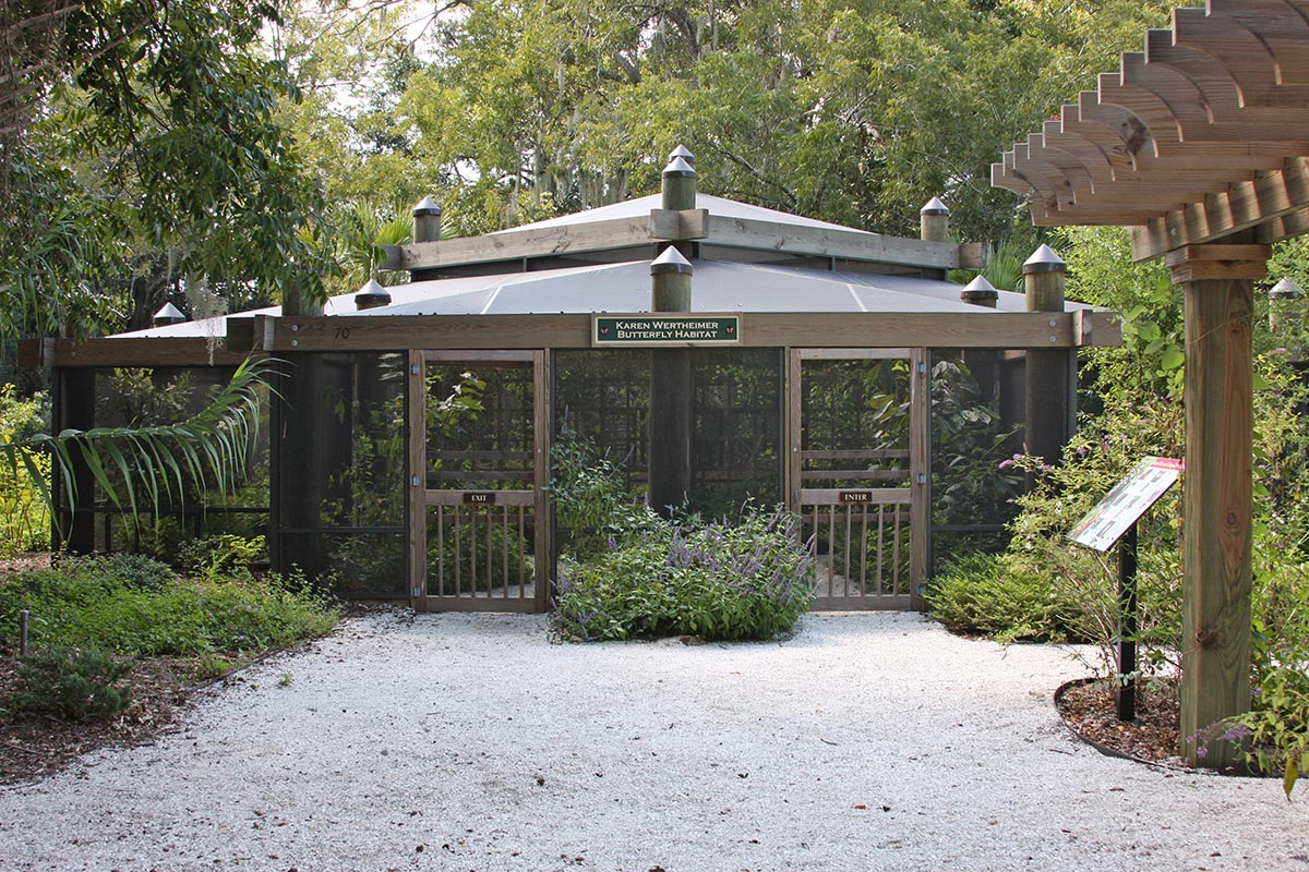 Butterly Enclosure