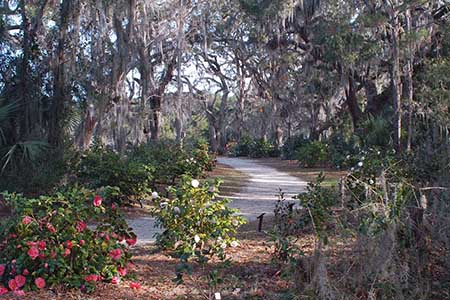 Camellia Garden