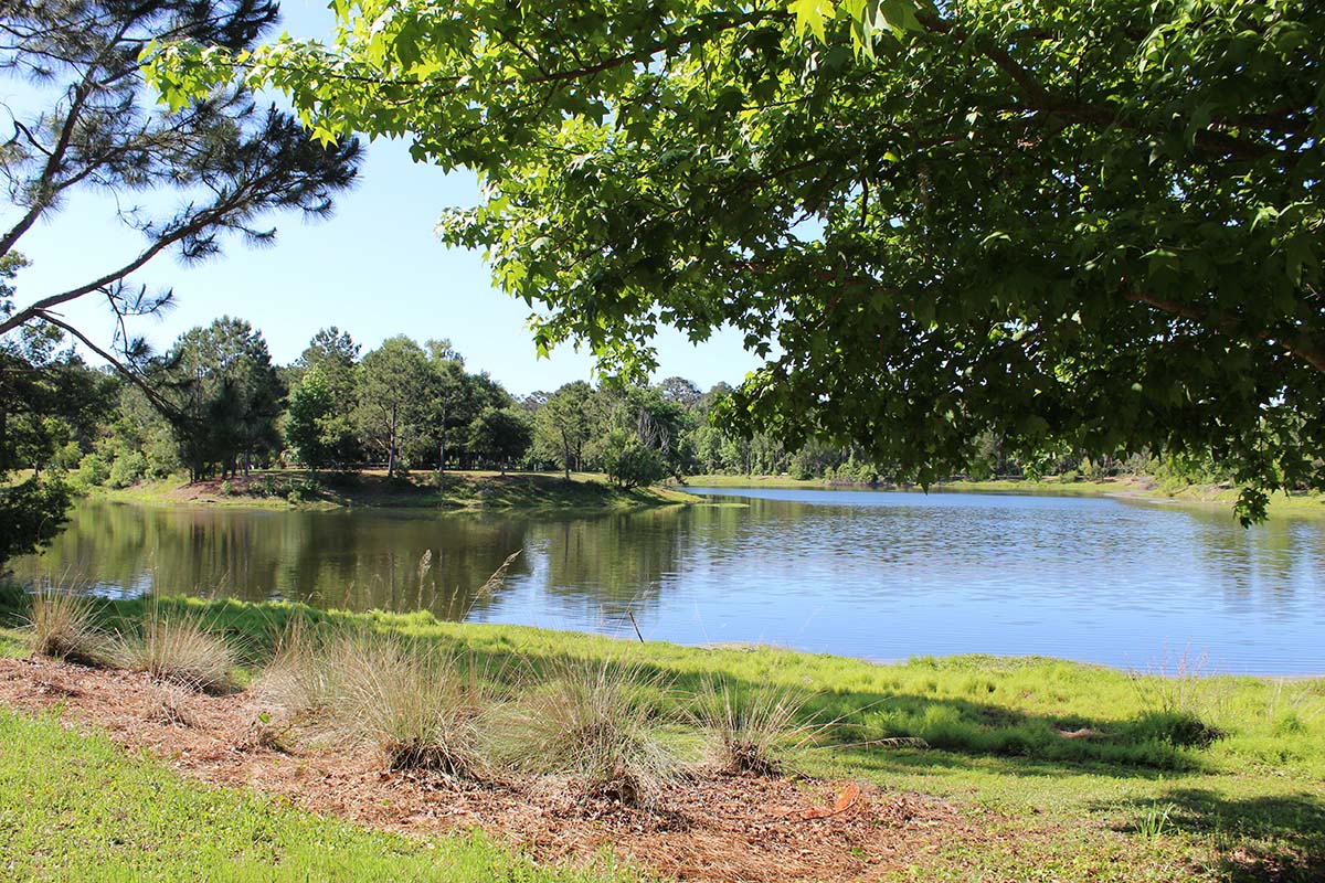 Lake Liggett