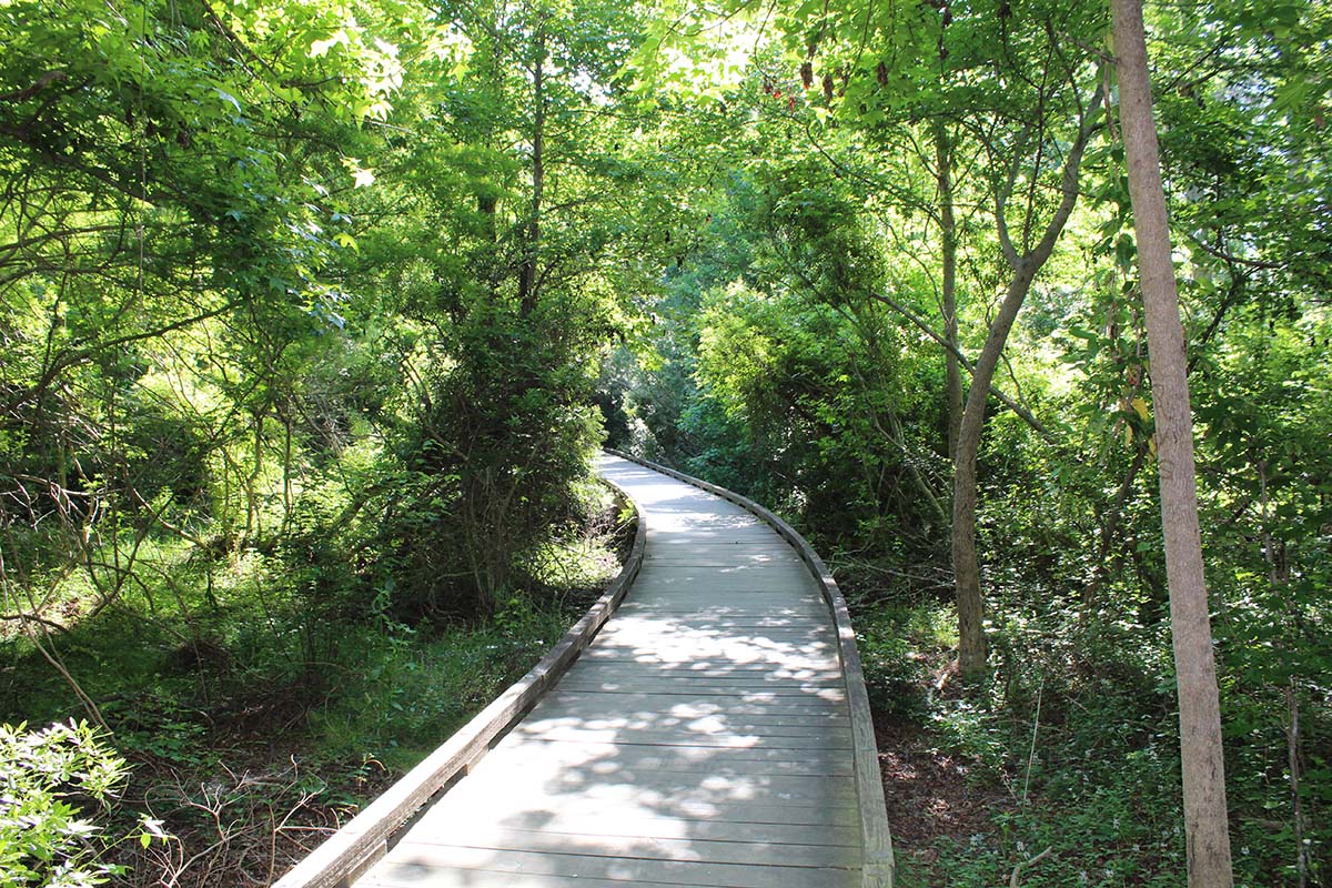 Walking Path Bridge