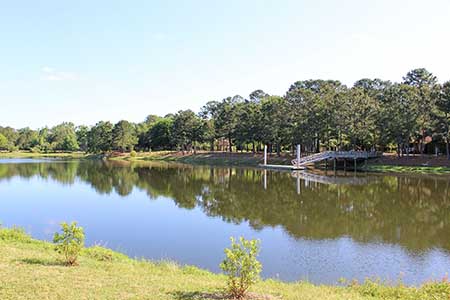 Lake Liggett