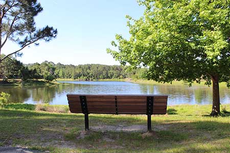 Bench Overlooking Lake Liggett