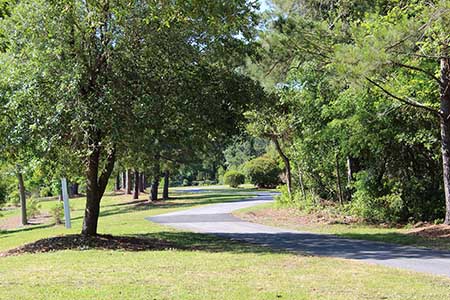 Walking Path