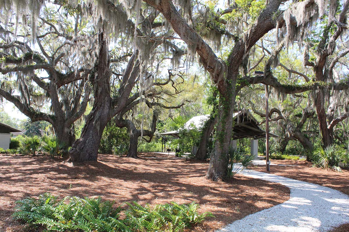 Picnic Pavilion among the Oaks