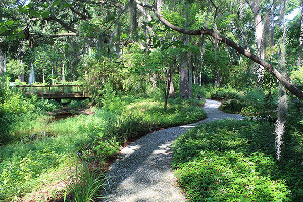 Betsy Jukofsky Xeriscape Garden