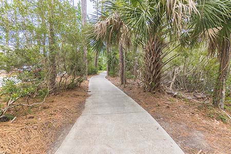 Pathway through Landscaping